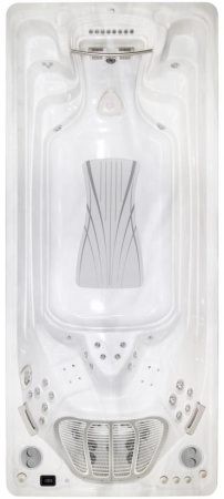 Бассейн с противотоком Hydropool Executive Sport 19EX